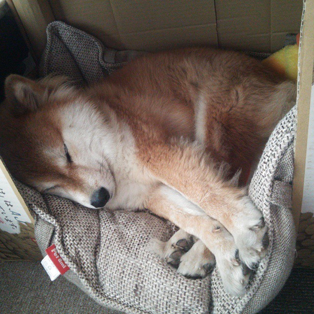 内线对决：意甲球队的“攻防两端”战略，意甲身体对抗