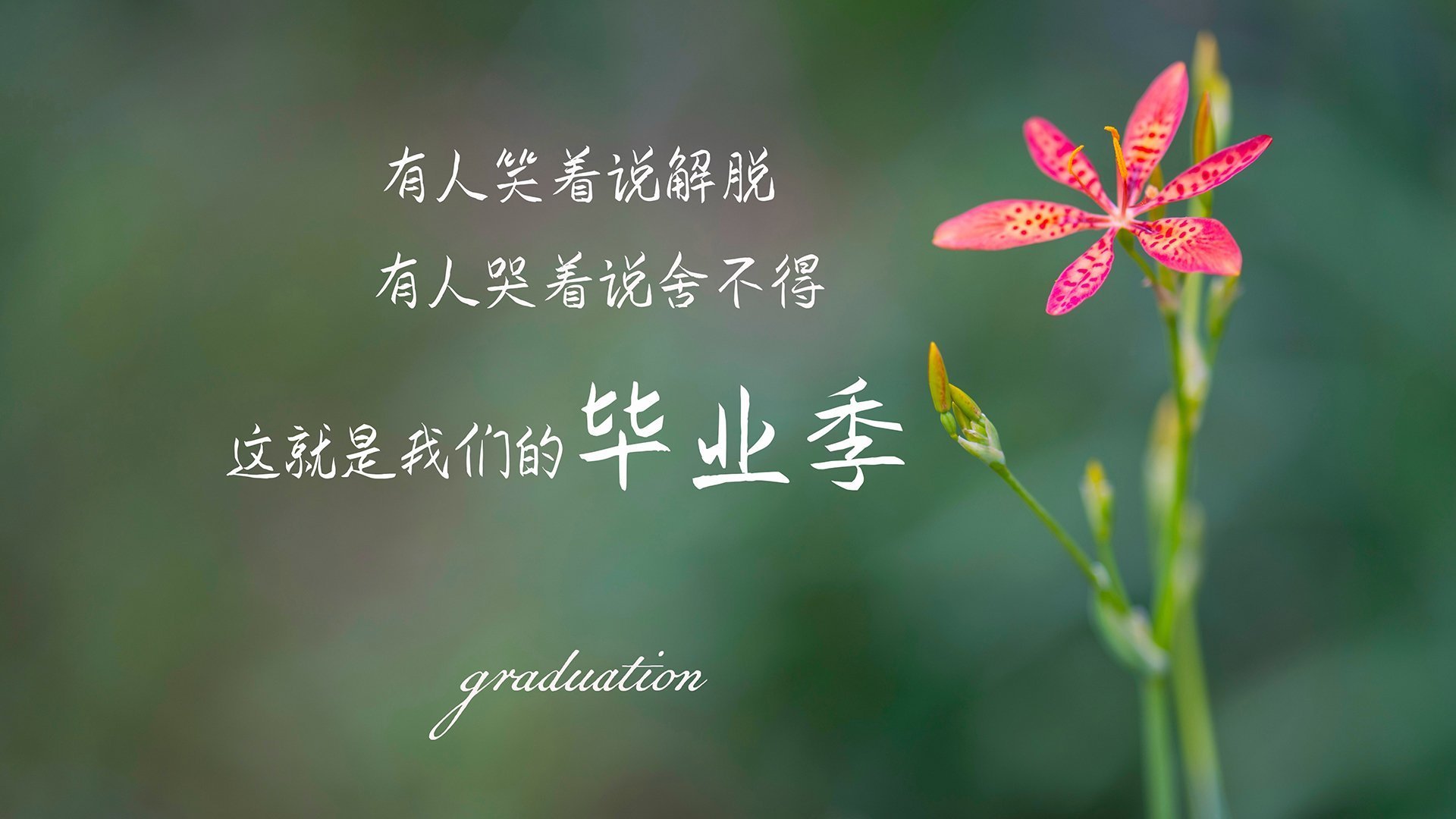 _年度巡回总决赛:全球顶级运动员的巅峰较量_,巡回锦标赛冠军